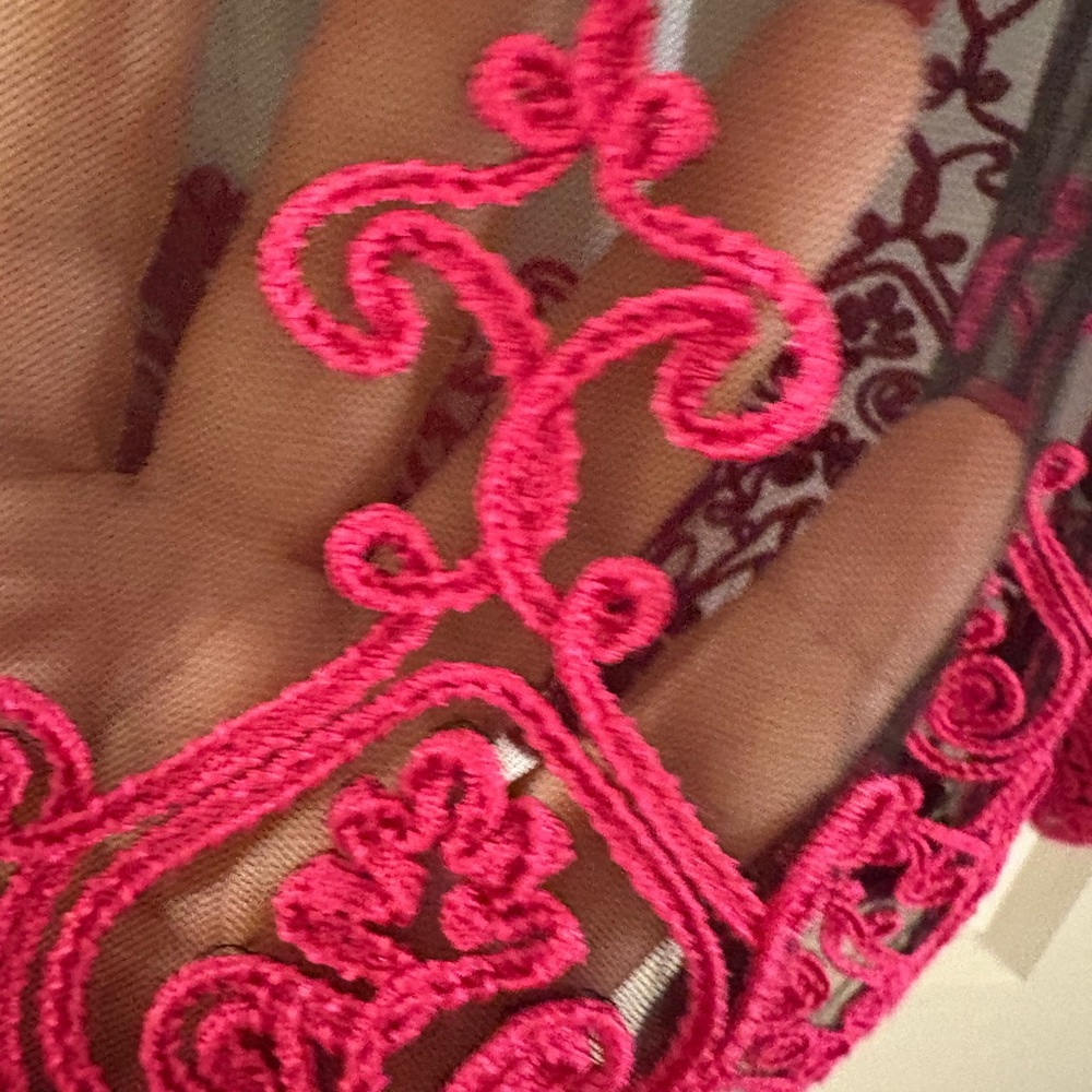 Elegant Pink sheer Lace Blouse - Picture 2 of 7